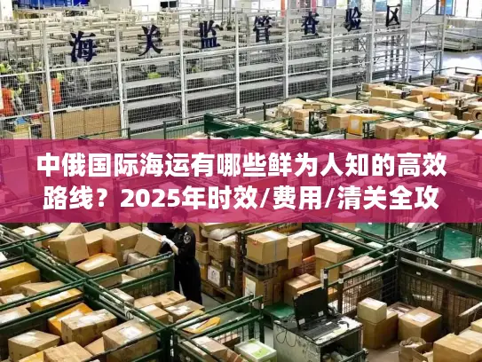 中俄国际海运有哪些鲜为人知的高效路线？2025年时效/费用/清关全攻略！
