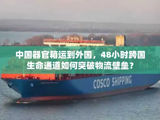 中国器官箱运到外国，48小时跨国生命通道如何突破物流壁垒？