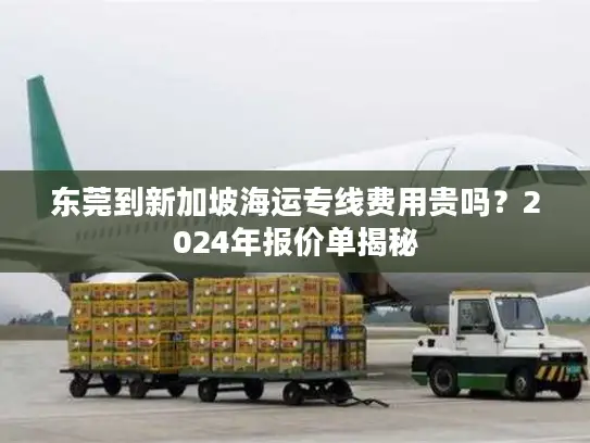 东莞到新加坡海运专线费用贵吗？2024年报价单揭秘