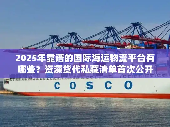 2025年靠谱的国际海运物流平台有哪些？资深货代私藏清单首次公开