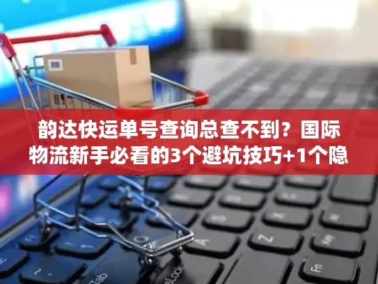 韵达快运单号查询总查不到？国际物流新手必看的3个避坑技巧+1个隐藏工具
