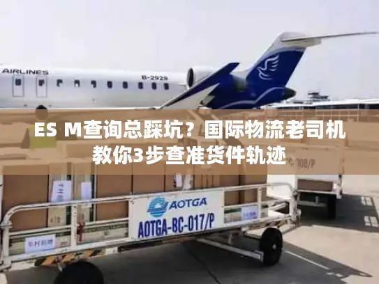 ES M查询总踩坑？国际物流老司机教你3步查准货件轨迹