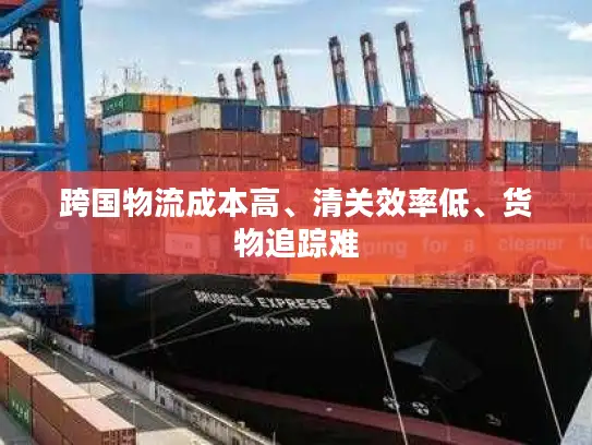 跨国物流成本高、清关效率低、货物追踪难