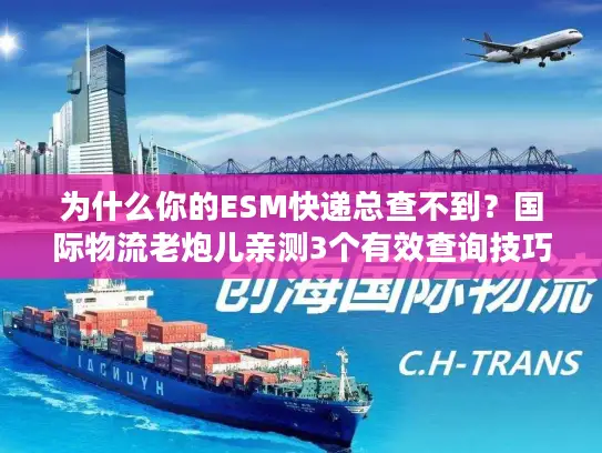 为什么你的ESM快递总查不到？国际物流老炮儿亲测3个有效查询技巧