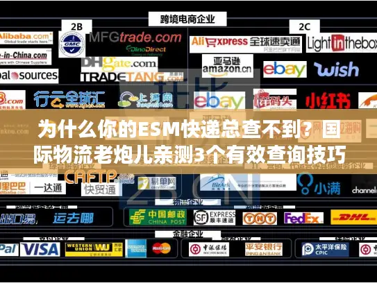 为什么你的ESM快递总查不到？国际物流老炮儿亲测3个有效查询技巧