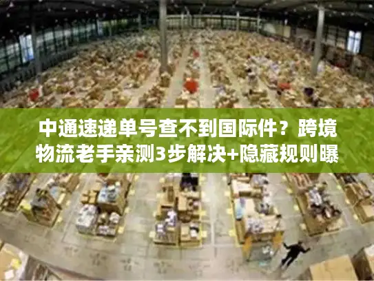 中通速递单号查不到国际件？跨境物流老手亲测3步解决+隐藏规则曝光