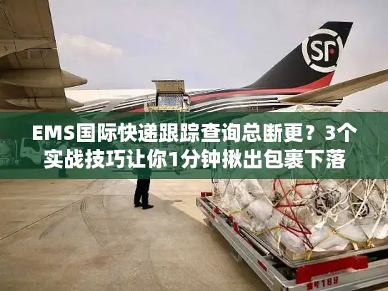 EMS国际快递跟踪查询总断更？3个实战技巧让你1分钟揪出包裹下落