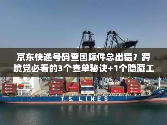 京东快递号码查国际件总出错？跨境党必看的3个查单秘诀+1个隐藏工具