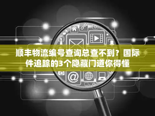 顺丰物流编号查询总查不到？国际件追踪的3个隐藏门道你得懂