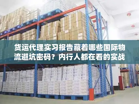 货运代理实习报告藏着哪些国际物流避坑密码？内行人都在看的实战干货