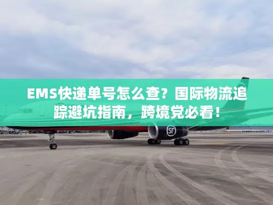 EMS快递单号怎么查？国际物流追踪避坑指南，跨境党必看！
