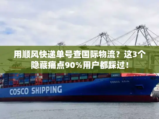 用顺风快递单号查国际物流？这3个隐藏痛点90%用户都踩过！