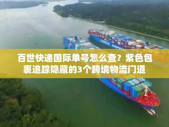 百世快递国际单号怎么查？紫色包裹追踪隐藏的3个跨境物流门道