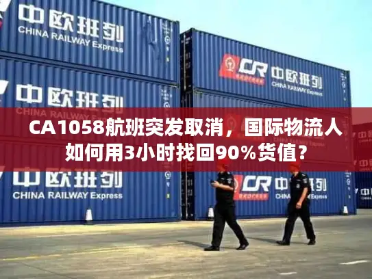 CA1058航班突发取消，国际物流人如何用3小时找回90%货值？
