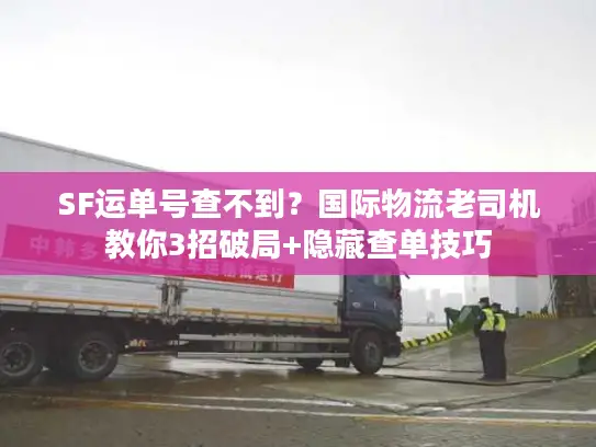 SF运单号查不到？国际物流老司机教你3招破局+隐藏查单技巧