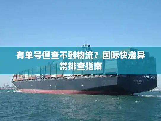 有单号但查不到物流？国际快递异常排查指南