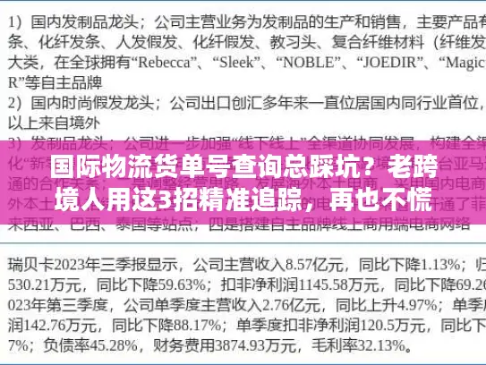 国际物流货单号查询总踩坑？老跨境人用这3招精准追踪，再也不慌