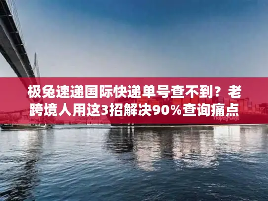 极兔速递国际快递单号查不到？老跨境人用这3招解决90%查询痛点