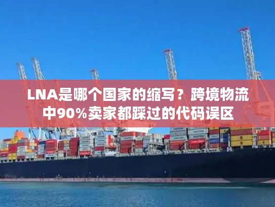 LNA是哪个国家的缩写？跨境物流中90%卖家都踩过的代码误区