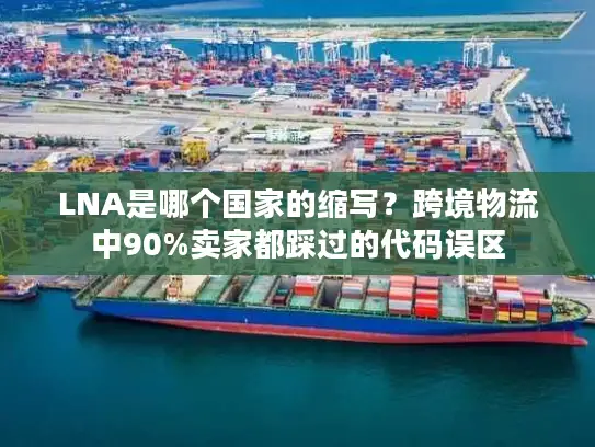 LNA是哪个国家的缩写？跨境物流中90%卖家都踩过的代码误区