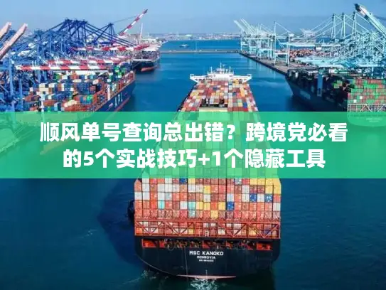 顺风单号查询总出错？跨境党必看的5个实战技巧+1个隐藏工具