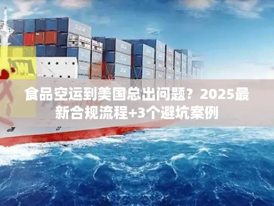 食品空运到美国总出问题？2025最新合规流程+3个避坑案例