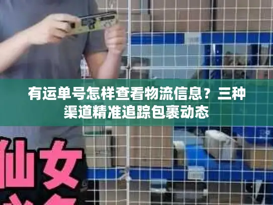 有运单号怎样查看物流信息？三种渠道精准追踪包裹动态
