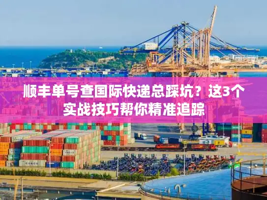 顺丰单号查国际快递总踩坑？这3个实战技巧帮你精准追踪