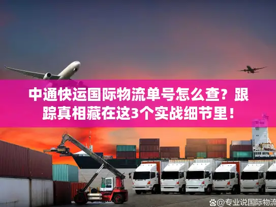 中通快运国际物流单号怎么查？跟踪真相藏在这3个实战细节里！