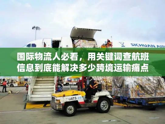 国际物流人必看，用关键词查航班信息到底能解决多少跨境运输痛点？