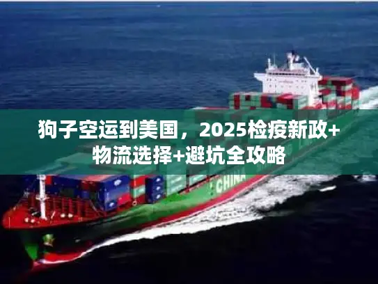 狗子空运到美国,2025检疫新政+物流选择+避坑全攻略 狗子空运到美国,2025检疫新政+物流选择+避坑全攻略