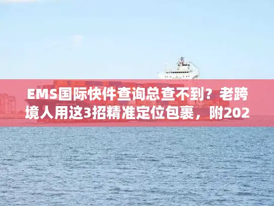EMS国际快件查询总查不到？老跨境人用这3招精准定位包裹，附2025最新避坑指南