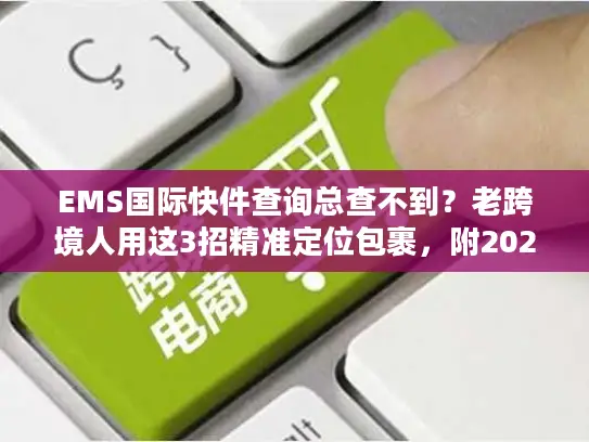 EMS国际快件查询总查不到？老跨境人用这3招精准定位包裹，附2025最新避坑指南