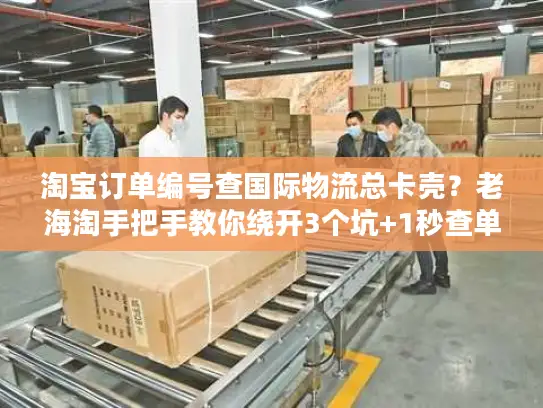 淘宝订单编号查国际物流总卡壳？老海淘手把手教你绕开3个坑+1秒查单技巧