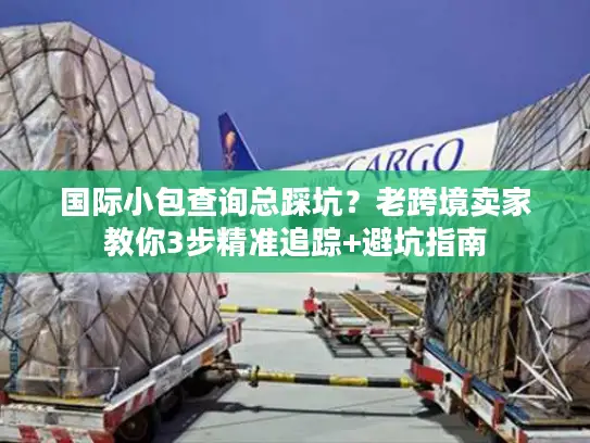 国际小包查询总踩坑？老跨境卖家教你3步精准追踪+避坑指南