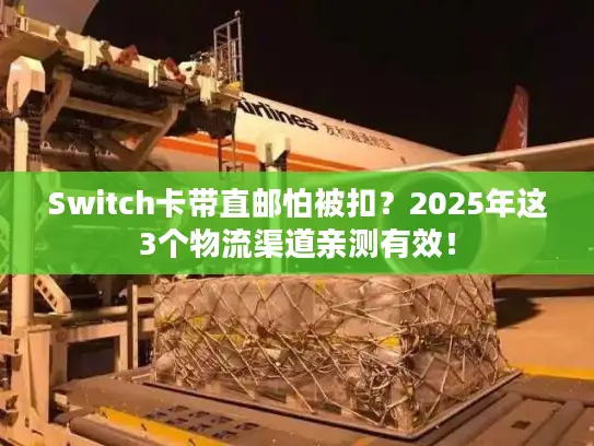 Switch卡带直邮怕被扣？2025年这3个物流渠道亲测有效！