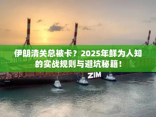 伊朗清关总被卡?2025年鲜为人知的实战规则与避坑秘籍! 伊朗清关总被卡?2025年鲜为人知的实战规则与避坑秘籍!