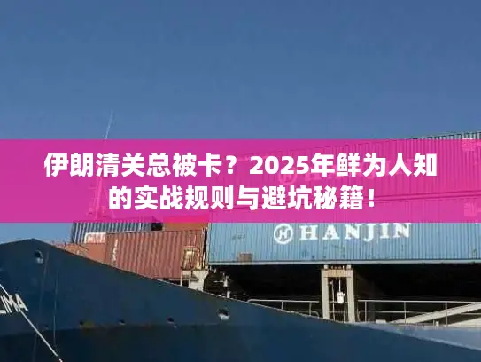 伊朗清关总被卡？2025年鲜为人知的实战规则与避坑秘籍！