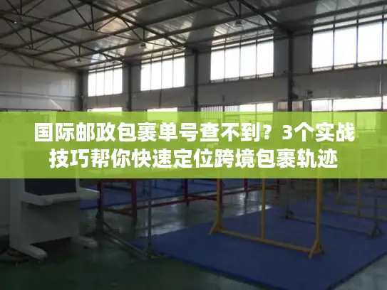 国际邮政包裹单号查不到？3个实战技巧帮你快速定位跨境包裹轨迹