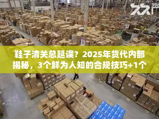 鞋子清关总延误？2025年货代内部揭秘，3个鲜为人知的合规技巧+1个成功案例
