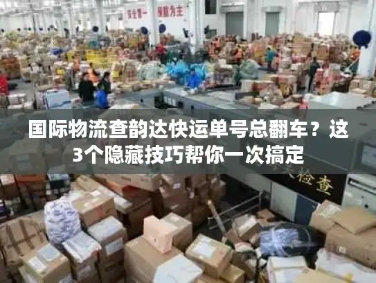 国际物流查韵达快运单号总翻车？这3个隐藏技巧帮你一次搞定
