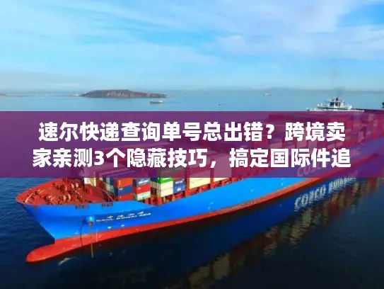 速尔快递查询单号总出错？跨境卖家亲测3个隐藏技巧，搞定国际件追踪痛点
