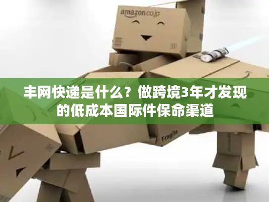 丰网快递是什么？做跨境3年才发现的低成本国际件保命渠道