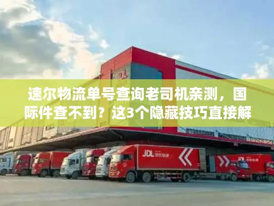 速尔物流单号查询老司机亲测，国际件查不到？这3个隐藏技巧直接解决！