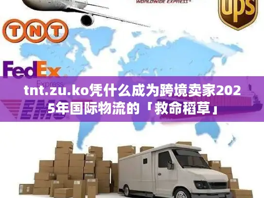 tnt.zu.ko凭什么成为跨境卖家2025年国际物流的「救命稻草」