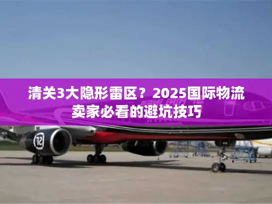 清关3大隐形雷区？2025国际物流卖家必看的避坑技巧