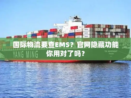 国际物流要查EMS？官网隐藏功能你用对了吗？
