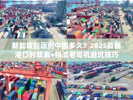 新加坡船运到中国多久？2025最新港口时效表+物流老司机避坑技巧