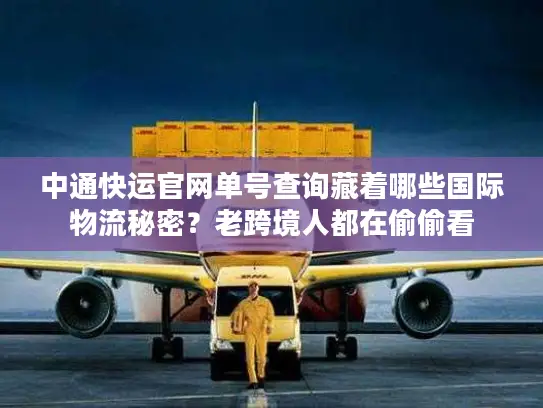 中通快运官网单号查询藏着哪些国际物流秘密？老跨境人都在偷偷看