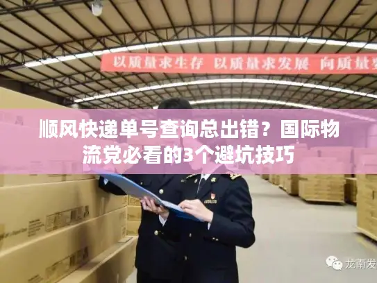 顺风快递单号查询总出错？国际物流党必看的3个避坑技巧